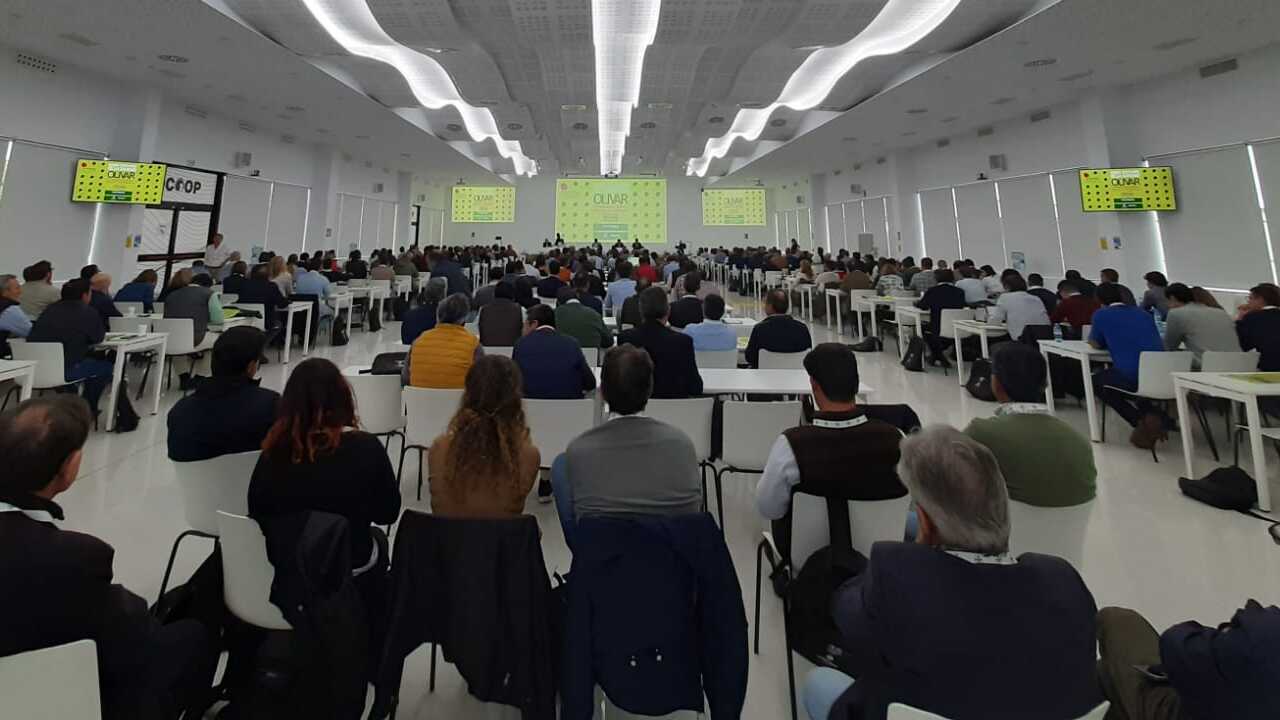 drones-nuevas-variedades-biocontrol-modelos-predictivos-phytolivo-2026-calienta-motores