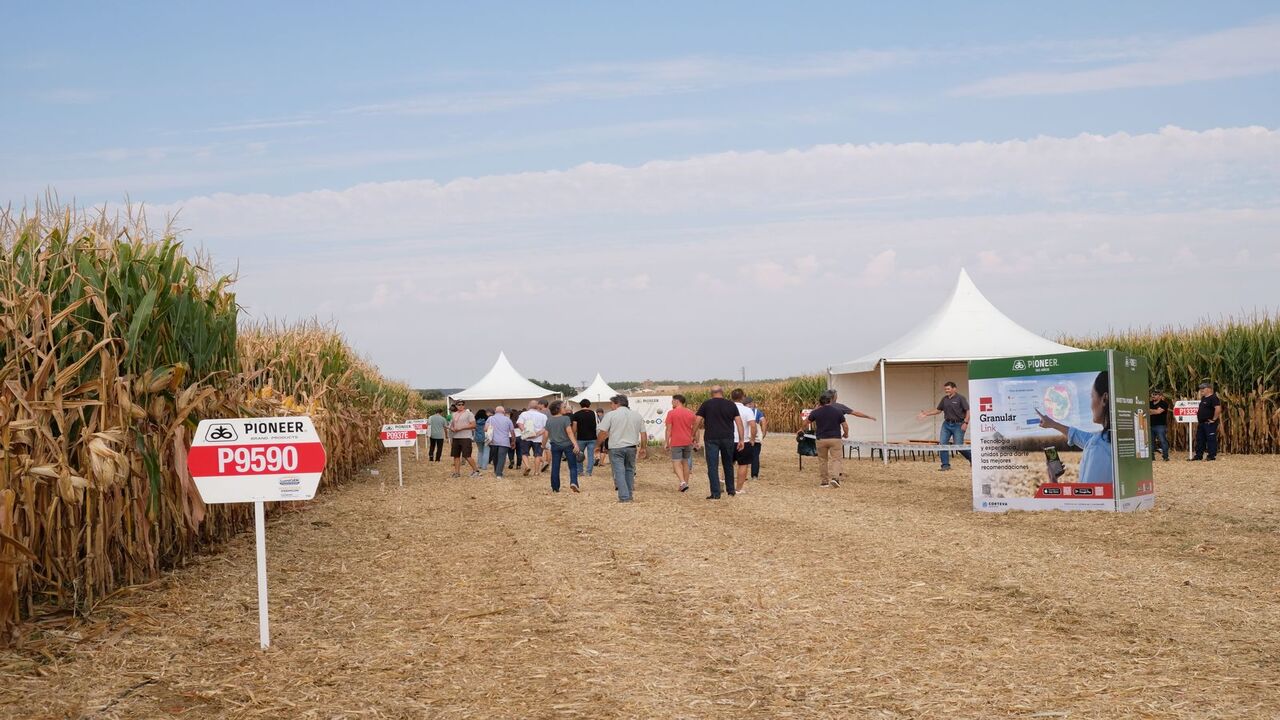 pioneer-reune-mas-de-250-agricultores-maiz-centenario
