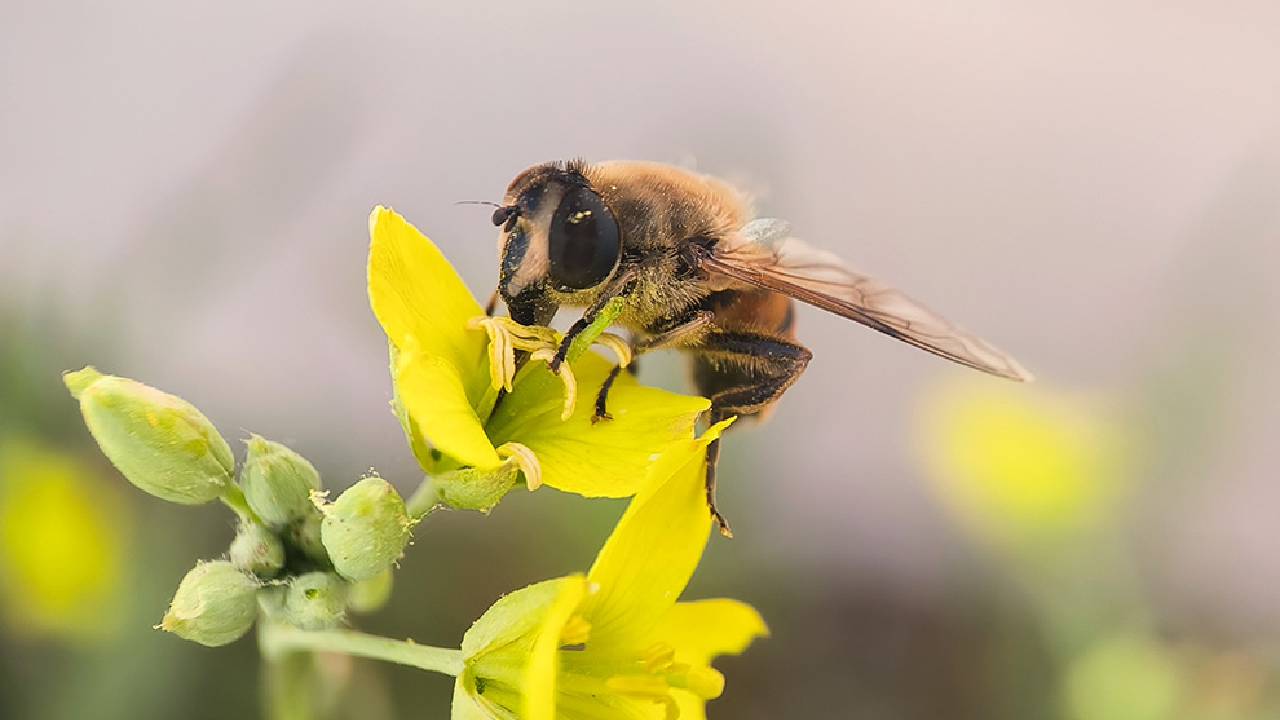 imagen principal noticia