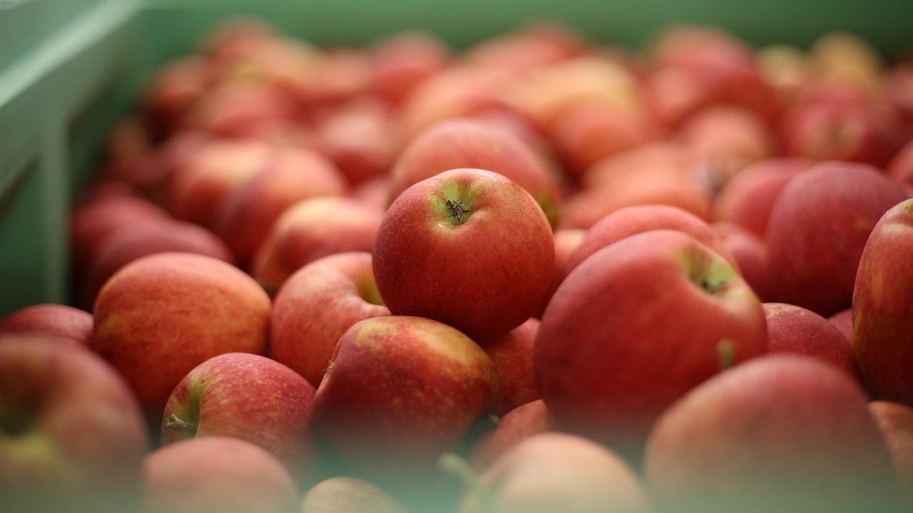 mas-proteccion-agricultores-practicas-comerciales-desleales