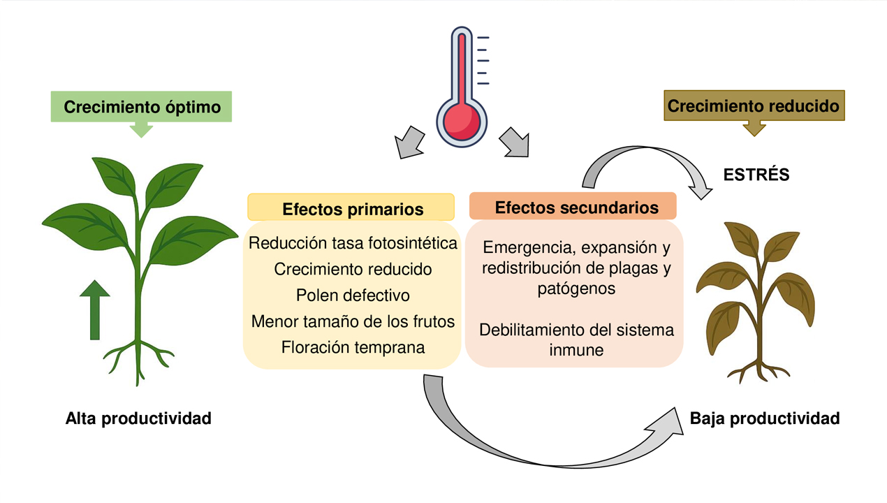 Avances prevención del estrés térmico en plantas cómo combatirlo