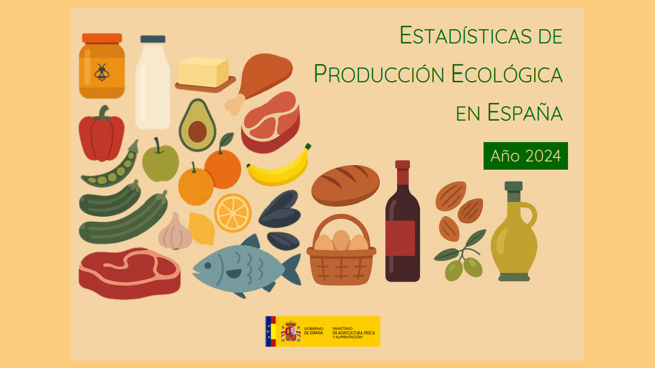 imagen principal noticia