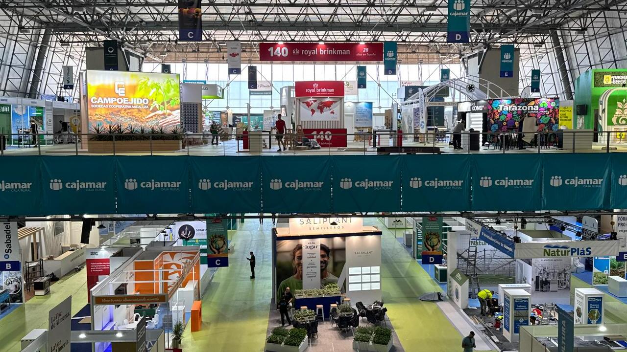 La producción agrícola intensiva se concentra en Roquetas
