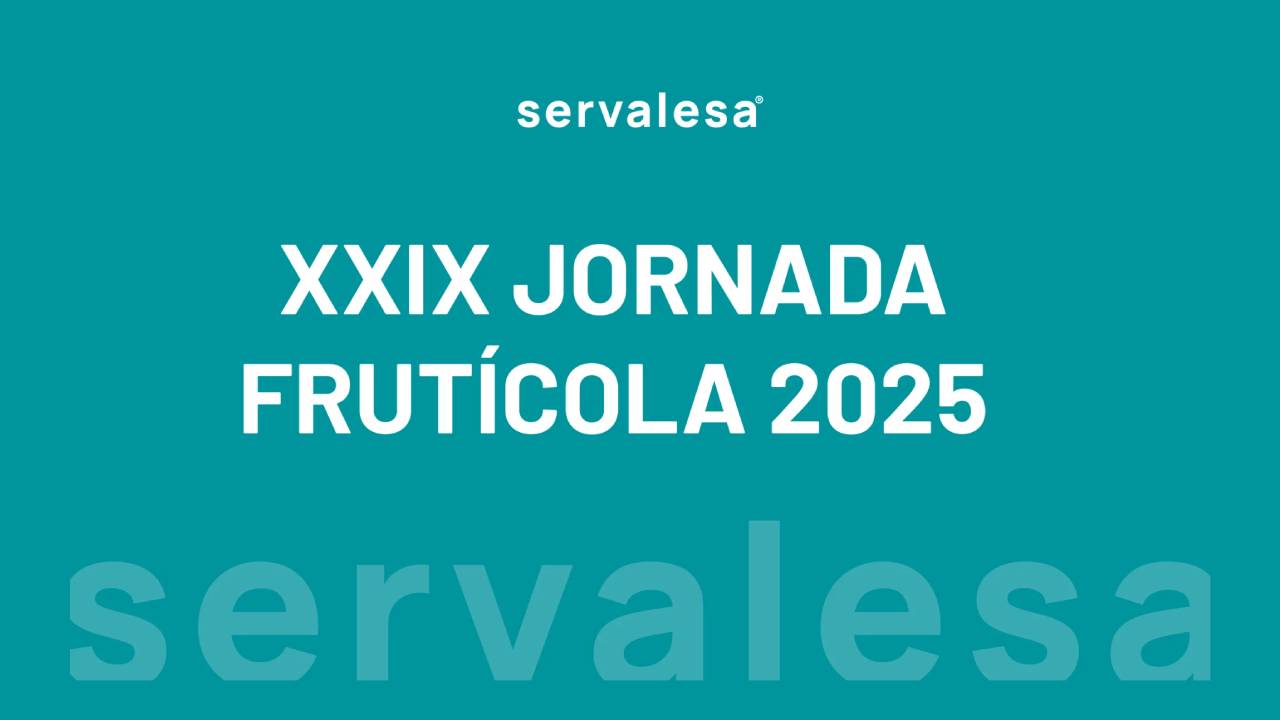 imagen principal noticia