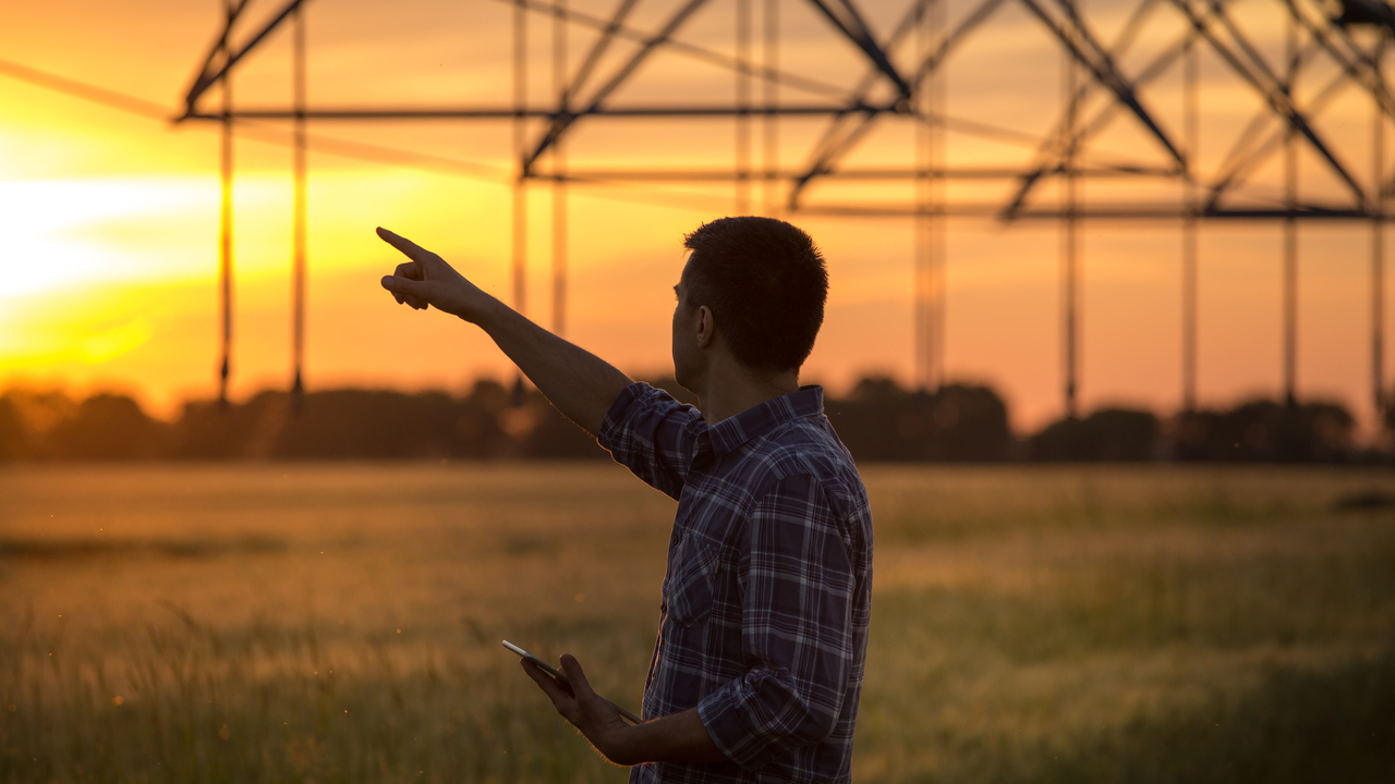 imagen principal noticia