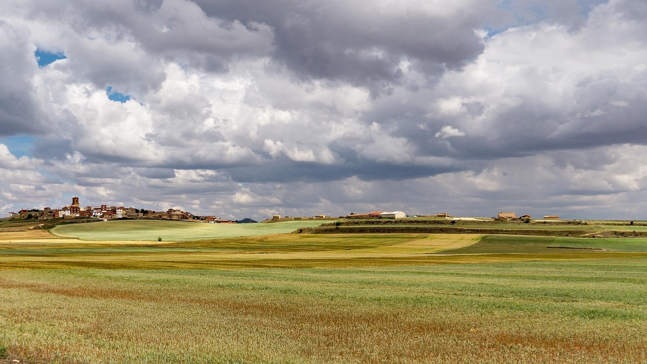 imagen principal noticia