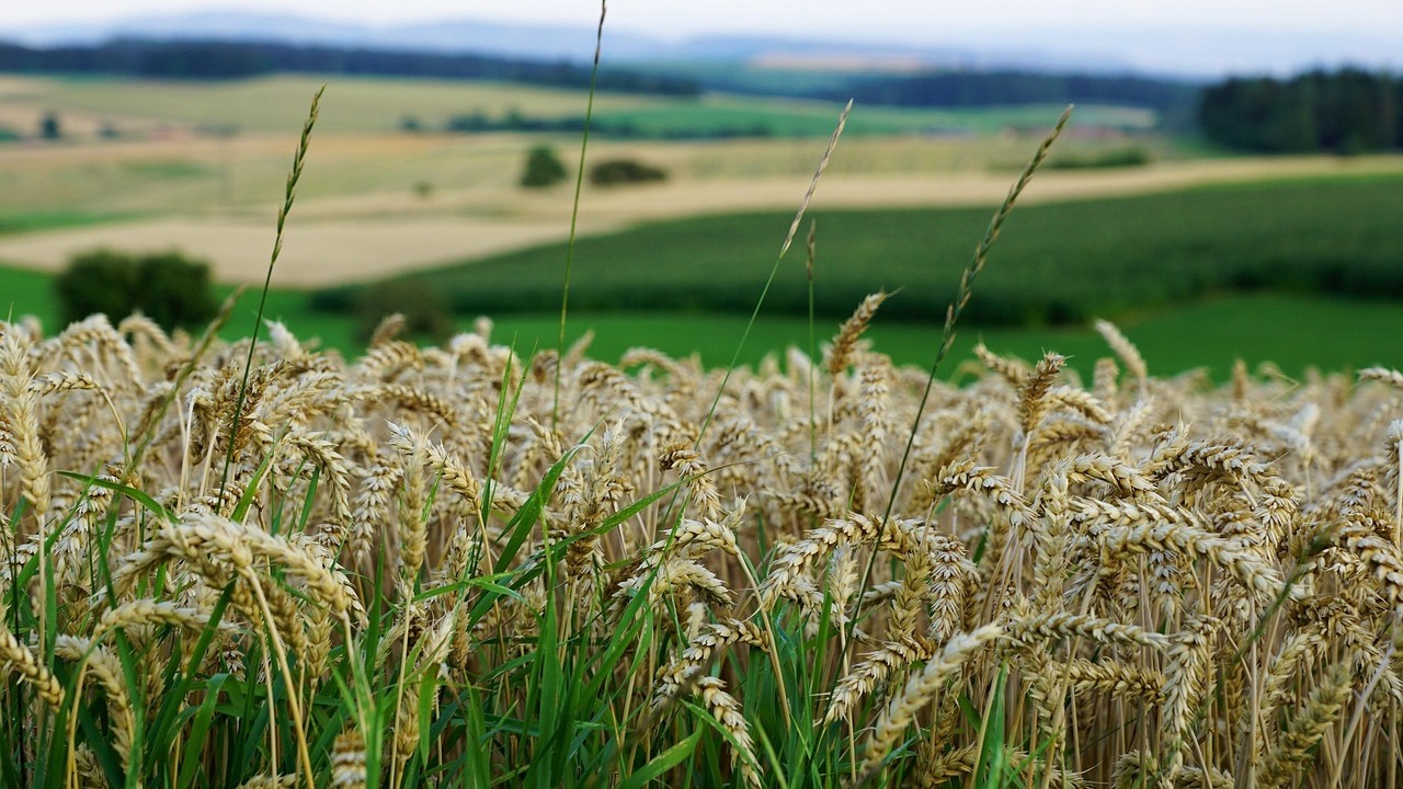 simplificacion-pac-sigue-superando-tramites-ue