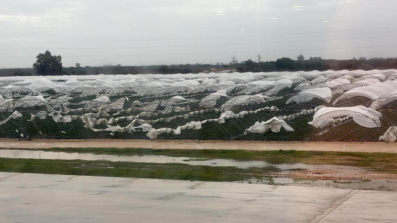 Primeras estimaciones daños temporal no cesa